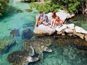 que hacer en cancun